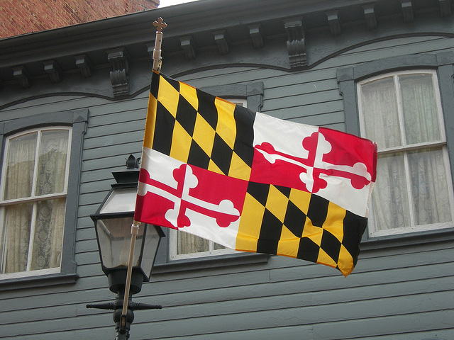 Annapolis maryland shop flag